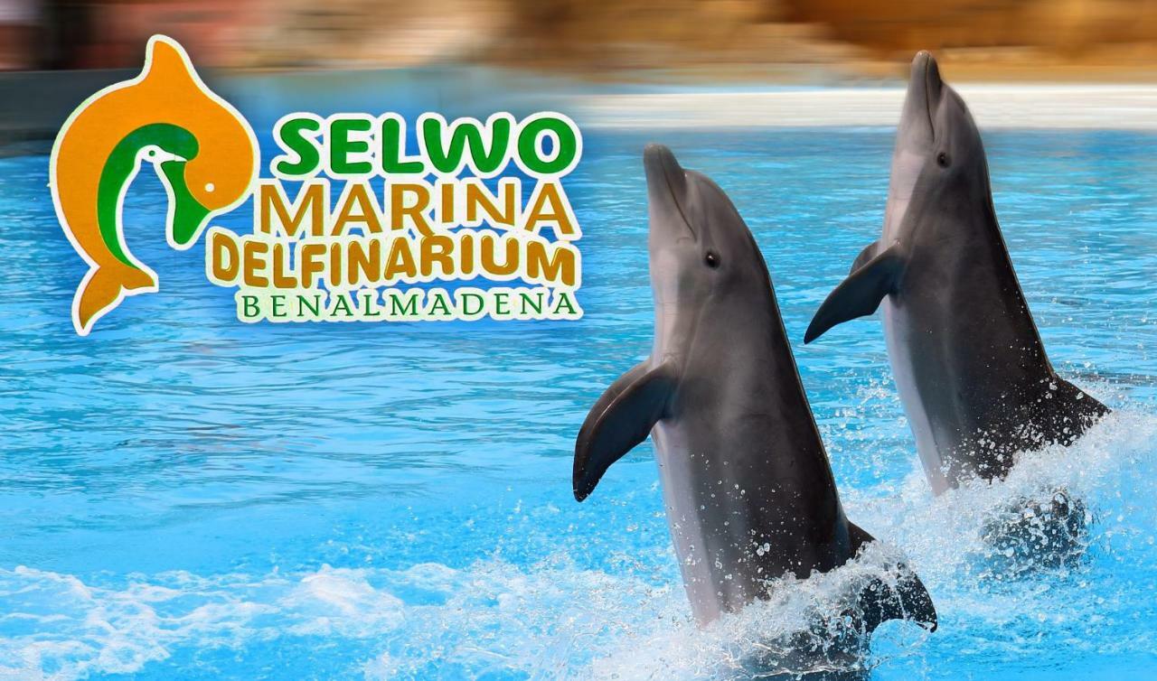 Apartamento Acuario Benalmádena Exterior foto